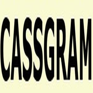 Cassgram Audio Report