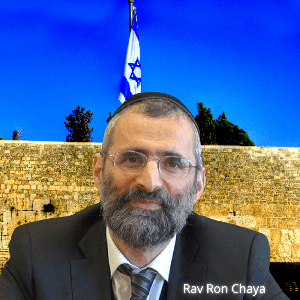 Myleava - Rav Ron Chaya