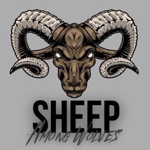Sheep Among Wolves