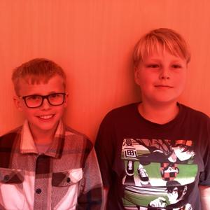 Pesten op school