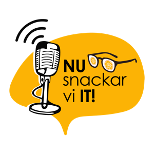Nu snackar vi IT!