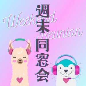 アルパカとカワウソの「週末同窓会」