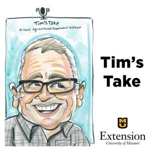 Tim’s Take