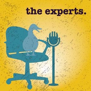 The Experts