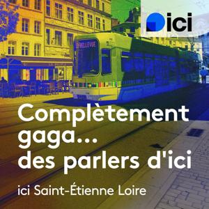Complètement gaga... des parlers d'ici