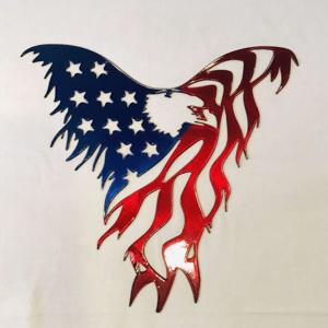 America Next - Podcast for Democracy