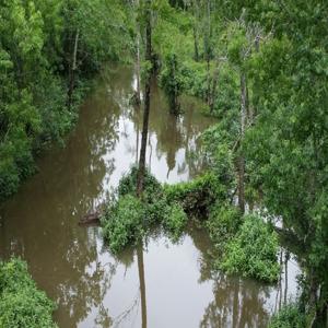 SwampSwamiSports.com