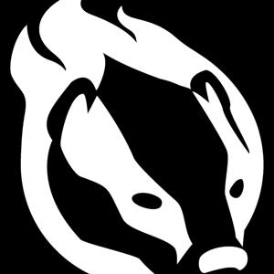The Flashing Badger Podcast