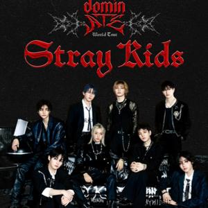 STRAY KIDS Kpop Boy Band Gossip News