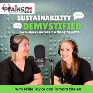 Sustainability Demystified