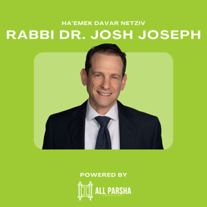 Ha’amek Davar - Netziv by Rabbi Dr. Josh Joseph