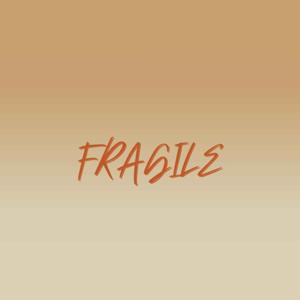 FRAGILE