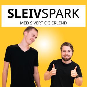 Sleivspark