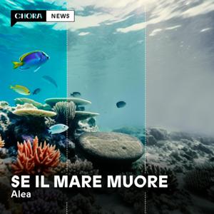 Se il mare muore