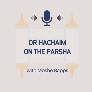 Or HaChaim on the Parsha