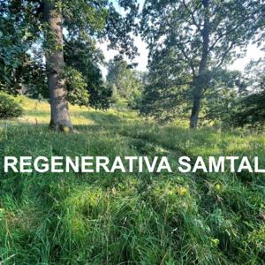 Regenerativa samtal
