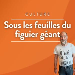 Sous les feuilles du figuier géant