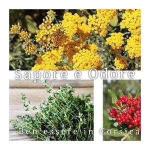 Sapore e odore