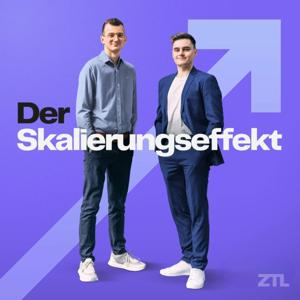 Der Skalierungseffekt