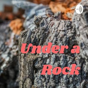 Under a Rock