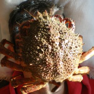 Podcast de Pedro_RadioEstrada