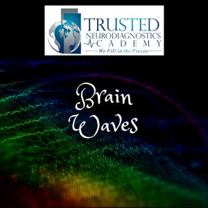 TNA BrainWaves