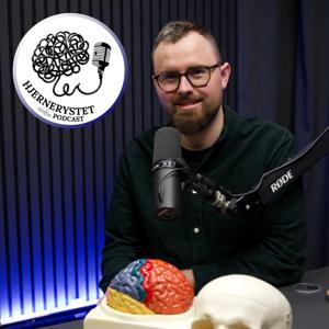 Hjernerystet