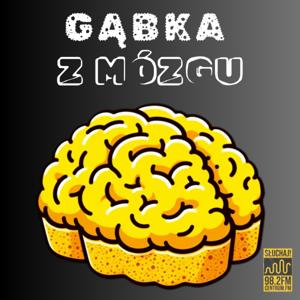 Gąbka z Mózgu