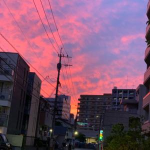 記憶にございません！