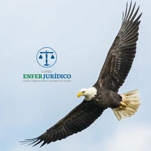 DIREITO + LEI SECA + QUESTÕES COMENTADAS