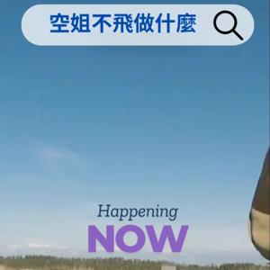 空姐不飛做什麼