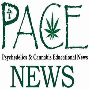 PACE News