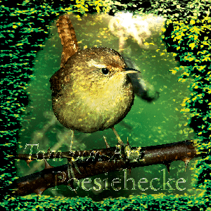 Poesiehecke