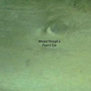 Whirled Through a Poem’s Eye