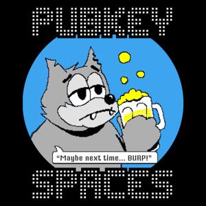 PubKey Spaces
