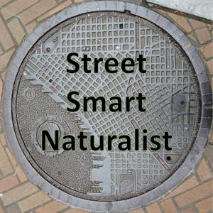 Street Smart Naturalist