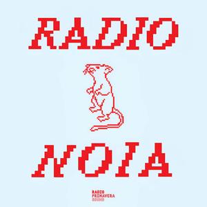 Radio Noia