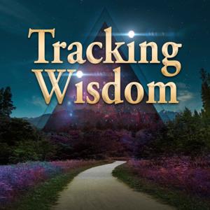 Tracking Wisdom