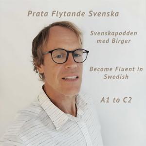Become Fluent in Swedish