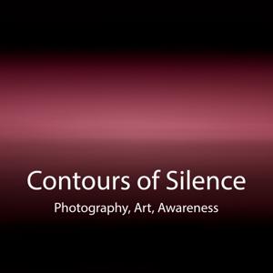 Contours of Silence