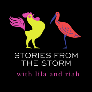 Stories from the Storm