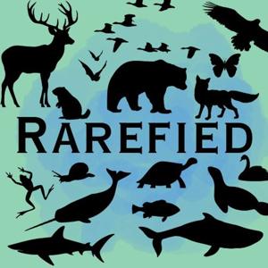Rarefied Podcast