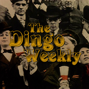 The Dingo Weekly