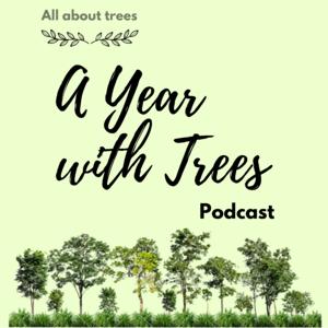 A Year with Trees