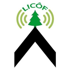 Licôf - Giorgio Jannis