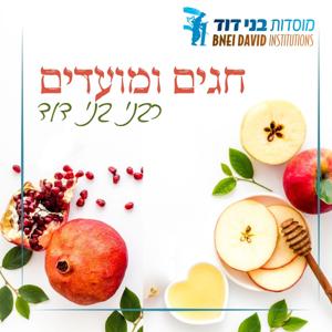 קצרים בזמן - מועדים