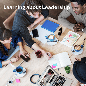 Learning about Leadership