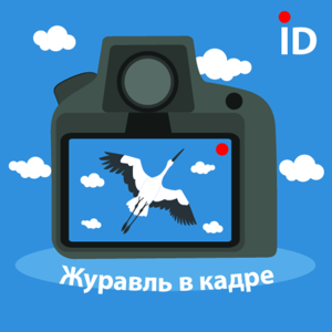 Журавль в кадре