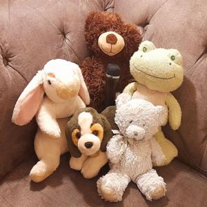 The Brown Bear and Bob the Frog Podcast