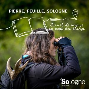 Pierre, feuille, Sologne - Carnet de voyage au pays des étangs.